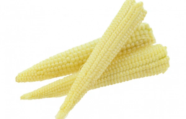 Baby corn-250 Gm